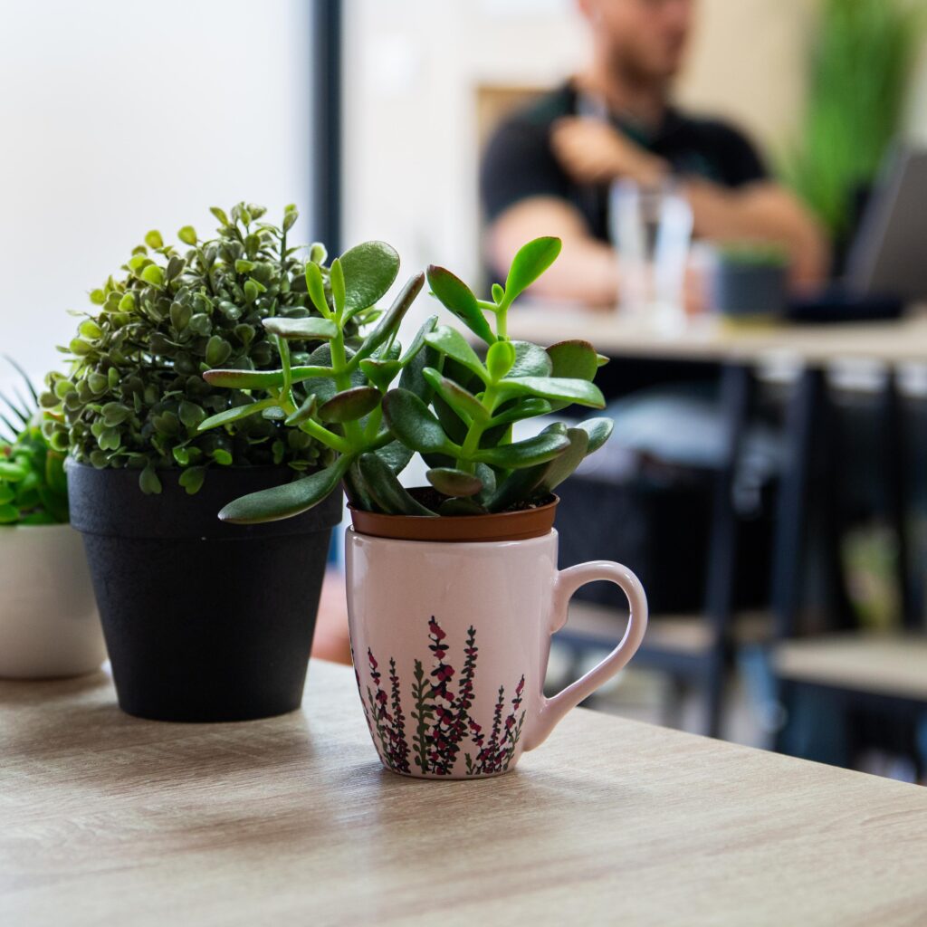 seance-photo-entreprise