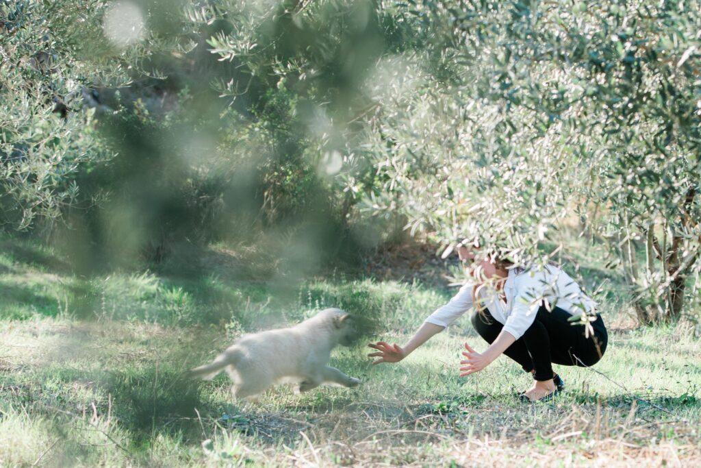 photo-couple-engagement